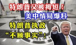 cia最新爆料网址是什么,揭秘神秘网址背后的秘密